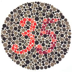 Ishihara’s Test for Colour Deficiency: 38 Plates Edition – Colblindor