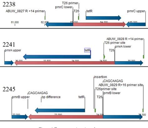 Figure From Identification Of Colistin Resistance Mechanisms In Pmrc