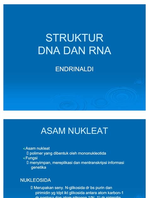 Pdf Struktur Dna Dan Rna Dokumen Tips