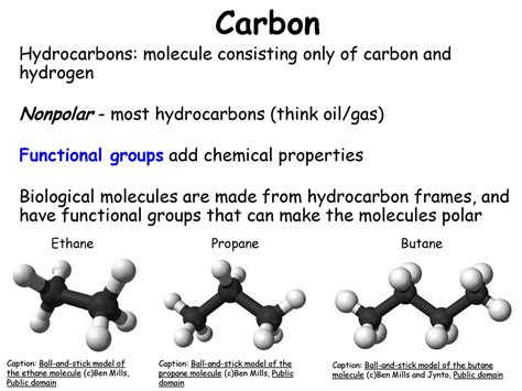 Biological Macromolecules Ppt Download