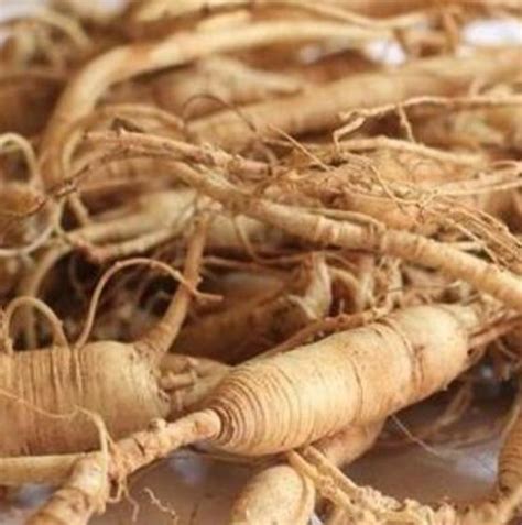 Ginseng Nedir Faydalar Nelerdir Linc Heap Haber Ve Blog