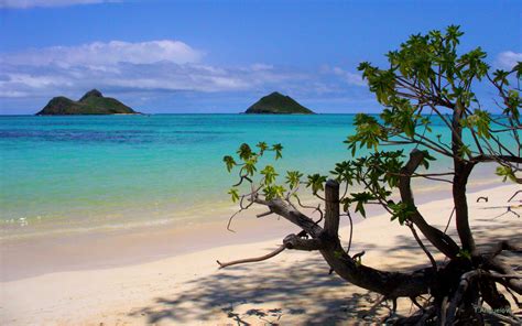 Lanikai Beach Wallpapers 4k HD Lanikai Beach Backgrounds On WallpaperBat