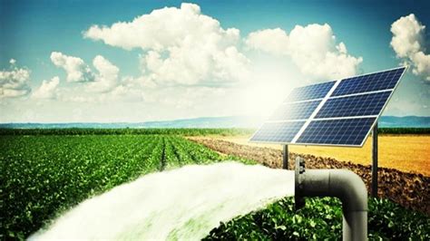 Application Of Solar Energy In Agriculture In The Modern World