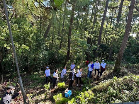 Adopt-a-Forest Program