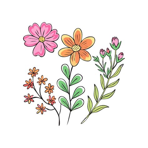 Colección de flores y plantas dibujadas a mano Vector Premium