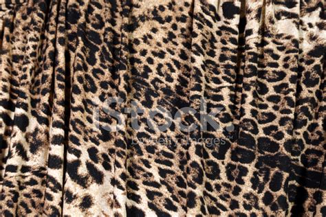 Animal Print Background Stock Photo | Royalty-Free | FreeImages