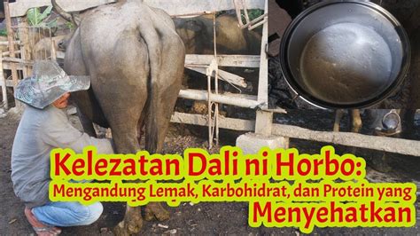 Dali Ni Horbo Makanan Khas Batak Dari Tapanuli Air Susu Kerbau