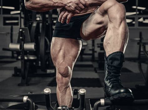 Best Quad Exercises - 5 Workouts to Get Results - Old School Labs