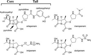 Carbapenems History Structure Mechanism Of Action Resistance And