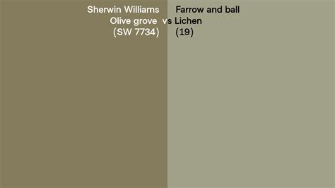 Sherwin Williams Olive Grove Sw 7734 Vs Farrow And Ball Lichen 19