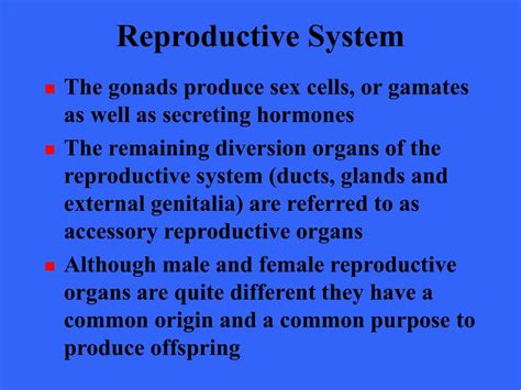 Ppt The Reproductive System Powerpoint Presentation Free Download