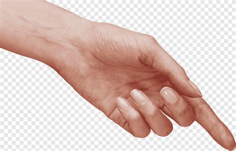 Hand Hands Hand Image File Formats Hand Png Pngegg