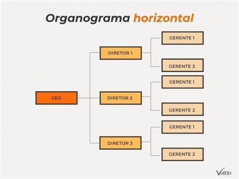 Topo Foto Modelo Organograma Vn Images And Photos Finder