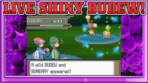 Live Shiny Budew In Pokemon Platinum After Encounters Seen