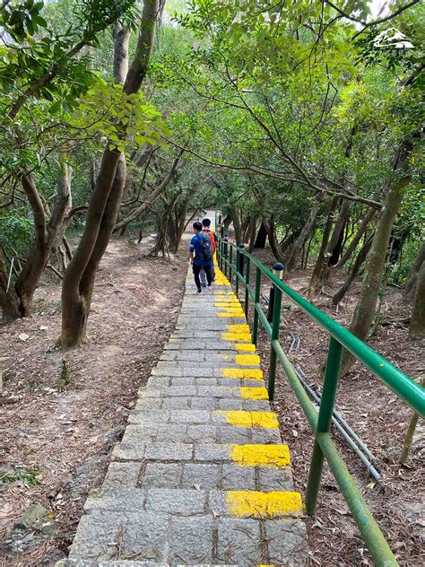 觀塘行山︱佐敦谷水塘登沈雲山 市區中尋昔日主壩 山全部都係山