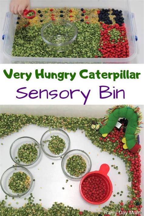 Butterfly Life Cycle Sensory Bin Artofit