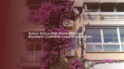 Balkon Bitkileri Sulamasında Yaygın Yapılan Hatalar ve Na