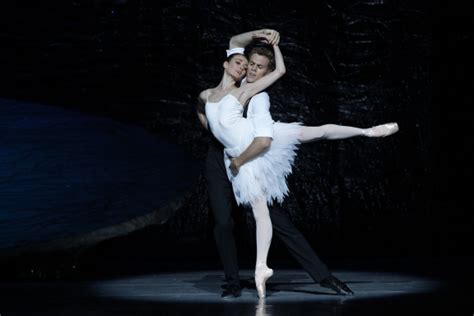 The Australian Ballet's Swan Lake delights - Seeing Dance