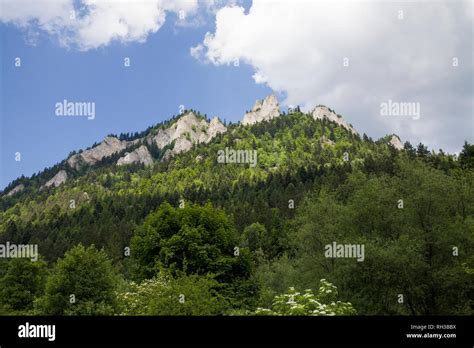 Mountains Three Crowns Trzy Korony Is Polish Pieniny National Park