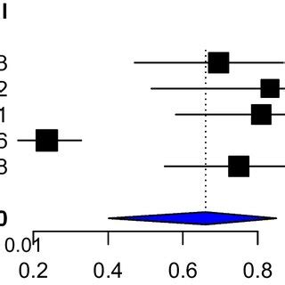 Forest Plot Showing The Pooled Stricture Response Rates To