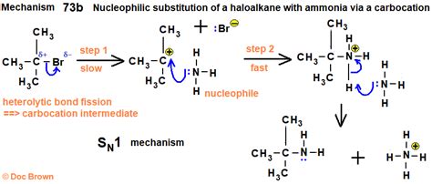 Nucleophilic Substitution Reaction Between Ammonia Amines With