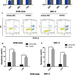 Inhibition Of MiR 302b Promoted Cell Proliferation And Suppressed