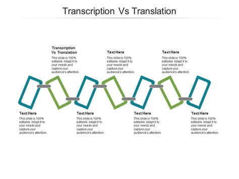 Transcription Vs Translation Ppt Powerpoint Presentation Gallery Grid