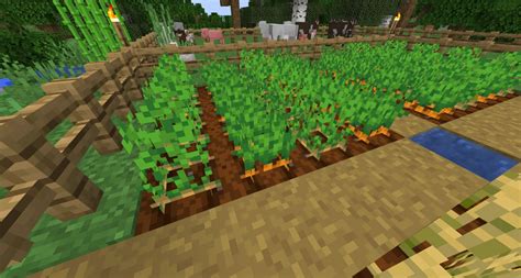 Gu A De Minecraft Granja Autom Tica De Patatas Y Zanahorias Para