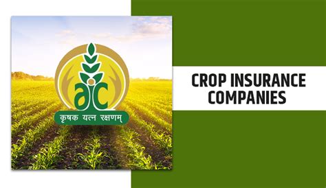 A Complete Information about Crop Insurance in India