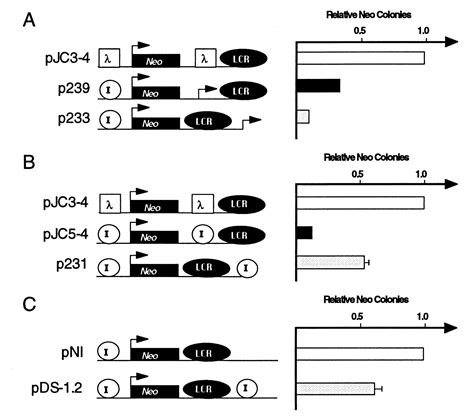 Characterization of the chicken β globin insulator PNAS