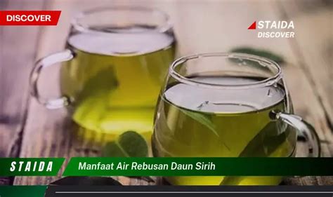 Ketahui Manfaat Rebusan Daun Mengkudu Untuk Kesehatan Tubuh Anda