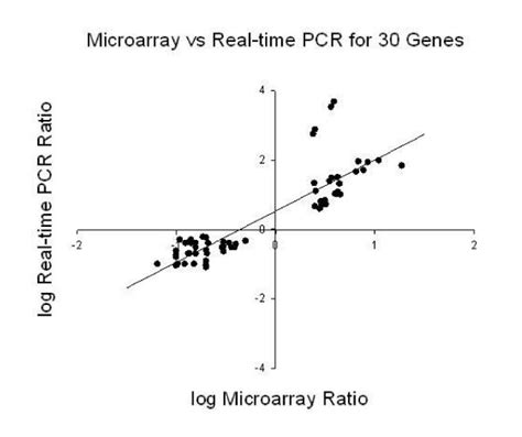 Correlation Between Levels Of Gene Expression Measured By Microarray