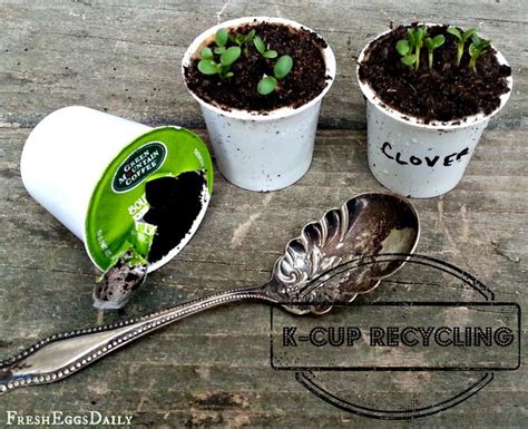 15 DIY Seed Starter Pots You Can Make From Recycled Materials!