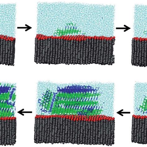 Molecular Dynamics Snapshots Of Ice Nucleation At The Surface Of A