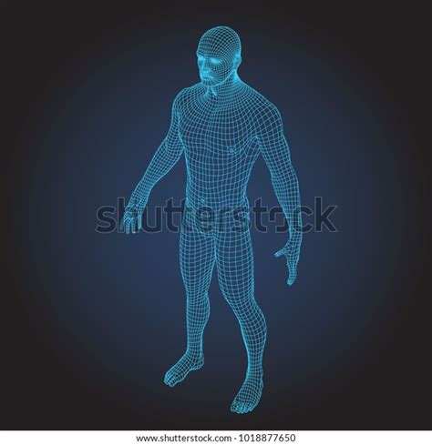 Wire Frame Human Full Body Virtual Stock Vector (Royalty Free) 1018877650 | Shutterstock