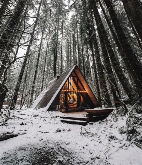 Pin By Roz On Cabincore Cabin Life Forest House Cabins In The Woods