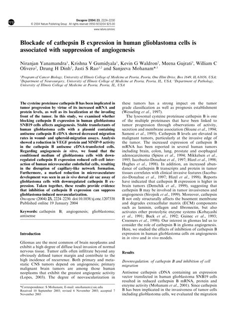 Pdf Blockade Of Cathepsin B Expression In Human Glioblastoma Cells Is