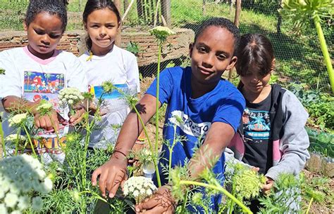 Cultivating Sustainable Futures In Brazil Salesian Missions