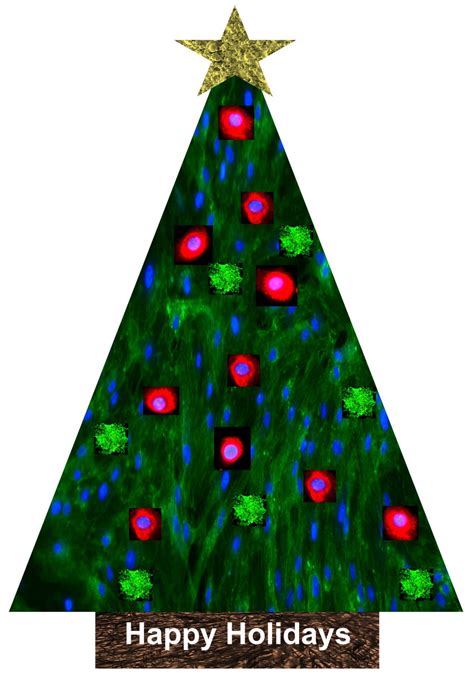 fahimeh tabatabaei  linkedin  year   unique