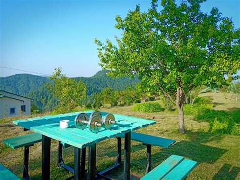 Cedar Garden Kufri What To Expect Timings Tips Trip Ideas By