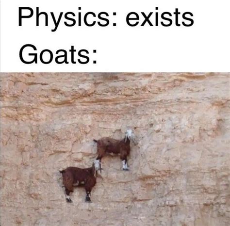 The Best Physics Memes Memedroid