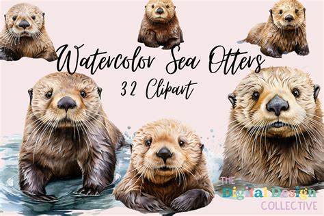 Watercolor Sea Otter Clipart Bundle Graphic By Lizballew Creative Fabrica