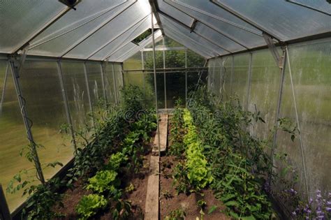 Greenhouse for Vegetable and Plant Production Stock Image - Image of ...