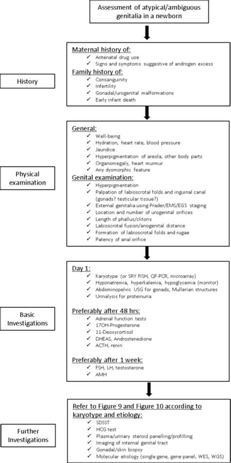 Etx Pediatric Ch24 Fig6 Endotext