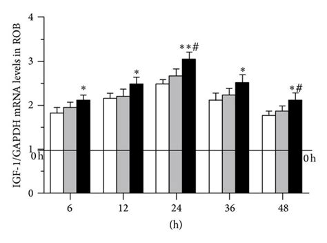 Time Course Changes In Mrna Levels Of Osteogenesis Related Genes In Rat