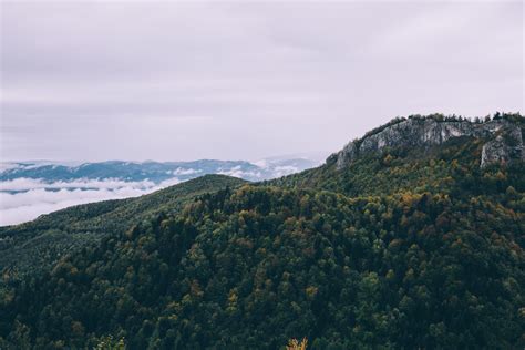 图片素材 景观 树 性质 森林 地平线 荒野 云 天空 爬坡道 山脉 地形 岭 首脑 阿尔卑斯山 高原 下降