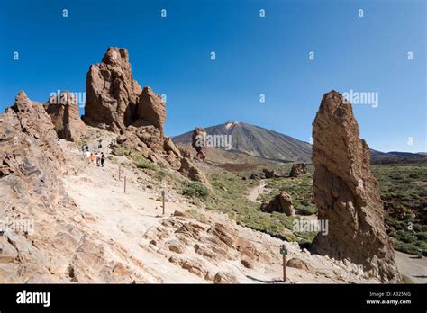 Mount Teide And Los Roques De Garcia Las Canadas Del Teide Tenerife