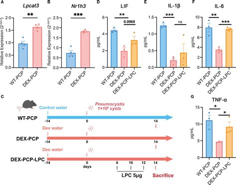 Integrated Multi Omics Analyses Reveal The Altered Transcriptomic