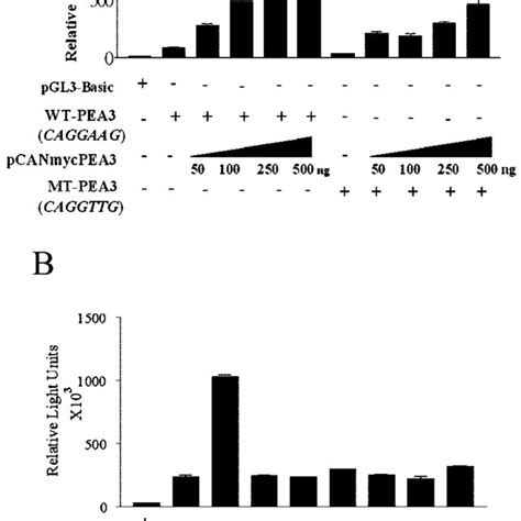 The Muc Smc Promoter Is Selectively Activated By Pea G Of Wt Pea