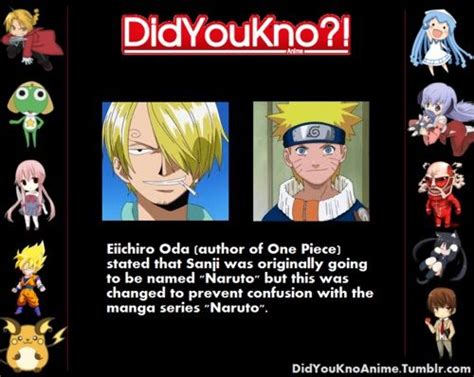 Anime Fun Facts | Wiki | Anime Amino